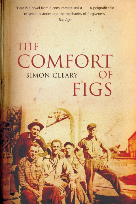 Cover image for book The Comfort of Figs