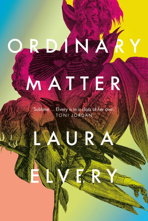 Cover image for book Ordinary Matter