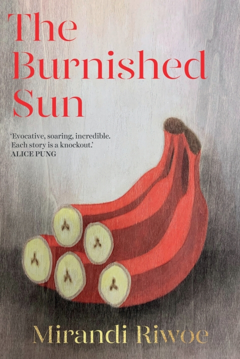 Cover image for book The Burnished Sun