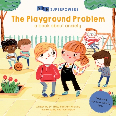 Cover image for book The Playground Problem