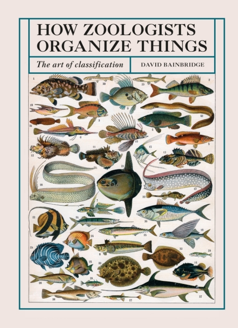 Cover image for book How Zoologists Organize Things