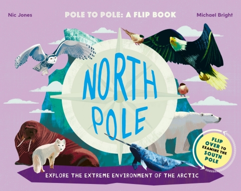 Cover image for book North Pole / South Pole