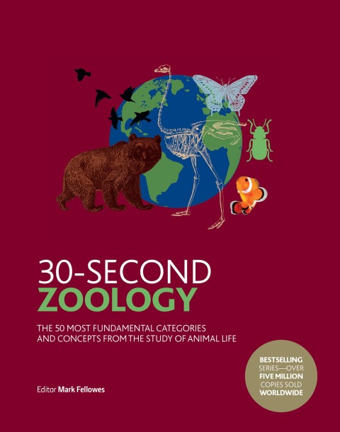 Cover image for book 30-Second Zoology