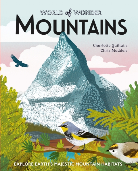 Cover image for book Mountains