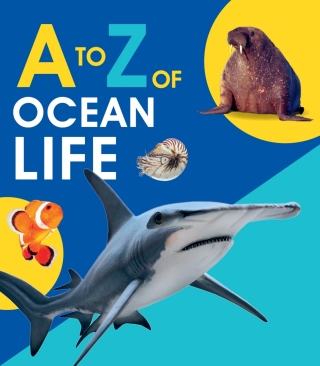 to Z of Ocean Life
