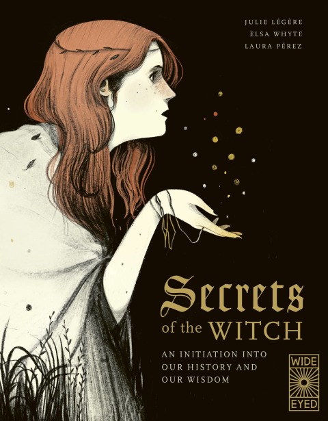 Cover image for book Secrets of the Witch