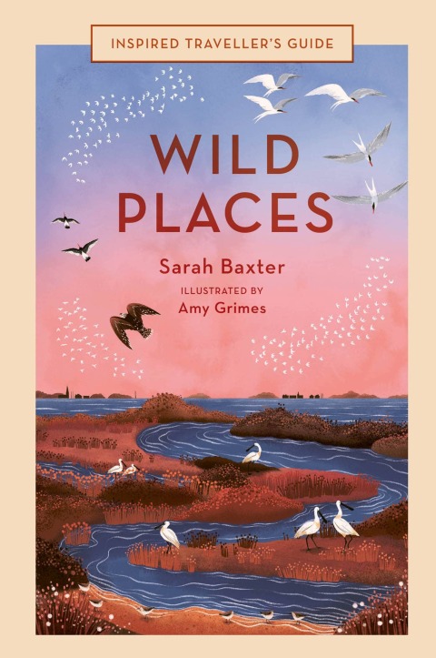 Cover image for book Wild Places