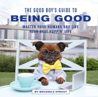 Cover image: The Good Boy's Guide to Being Good 9780711265943