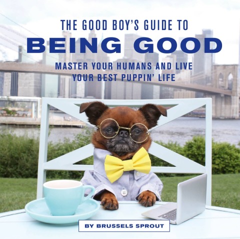 Cover image for book The Good Boy's Guide to Being Good