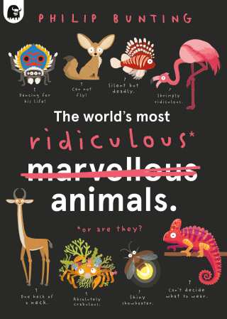 The World's Most Ridiculous Animals