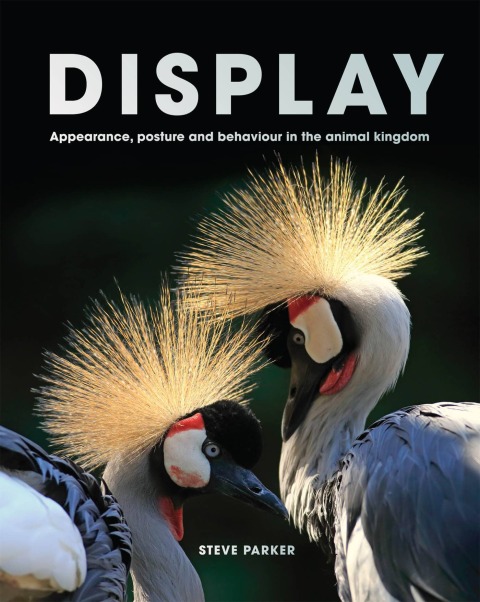Cover image for book Display
