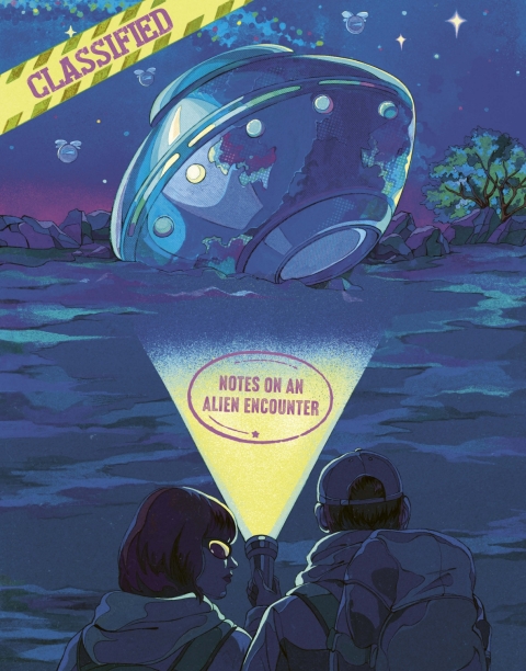 Cover image for book The UFO Files