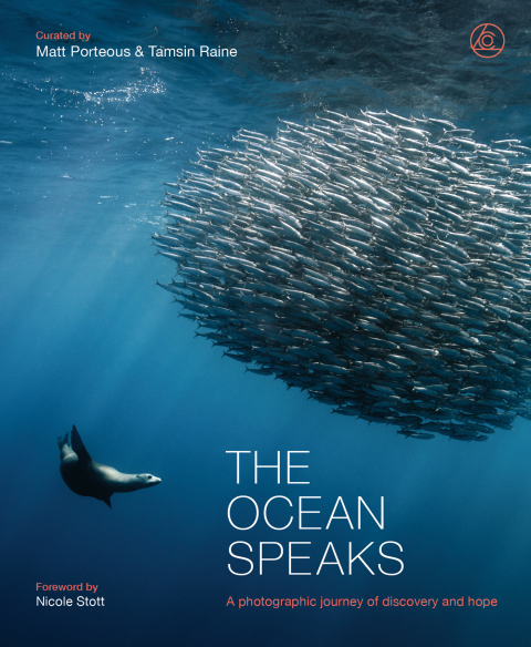 Cover image for book The Ocean Speaks