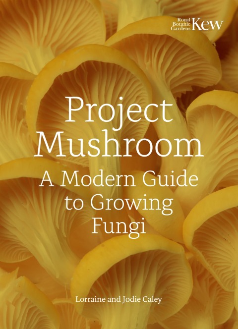 Cover image for book Project Mushroom