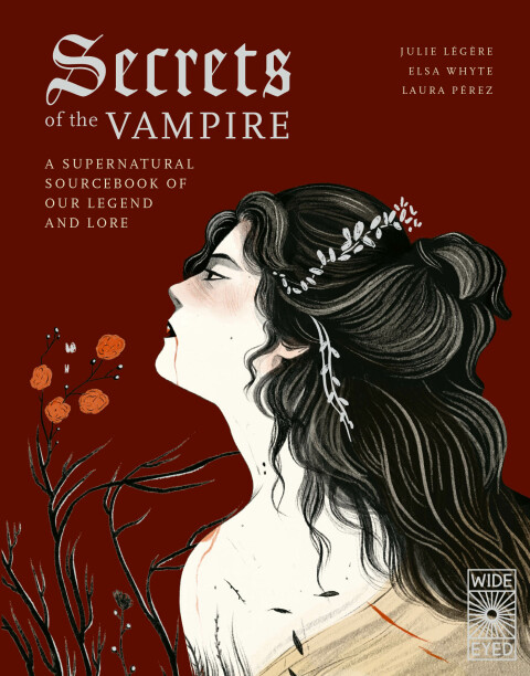 Cover image for book Secrets of the Vampire
