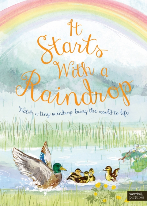 Cover image for book It Starts With A Raindrop
