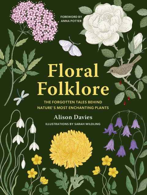 Cover image for book Floral Folklore