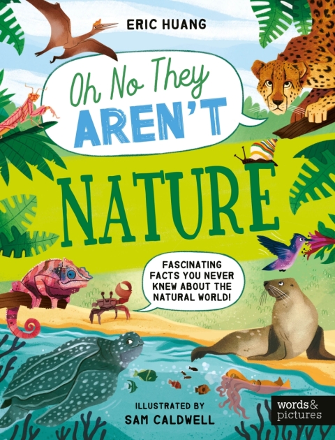 Cover image for book Nature