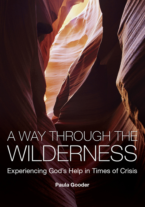 Cover image for book A Way Through the Wilderness