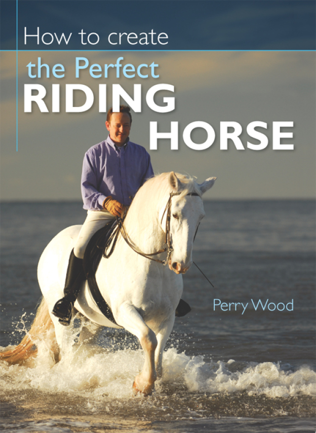 How to Create the Perfect Riding Horse