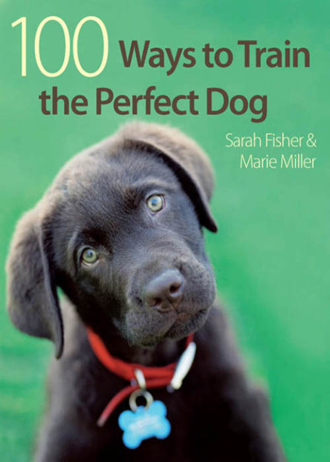 100 Ways to Train the Perfect Dog 