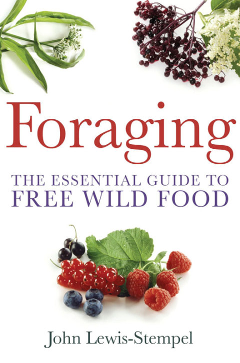 Cover image for book Foraging
