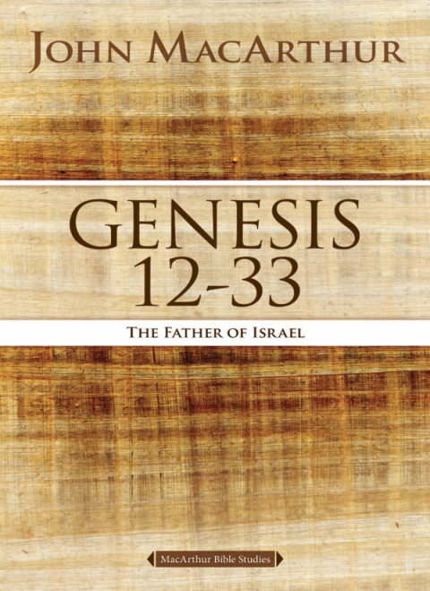 Cover image for book Genesis 12 to 33