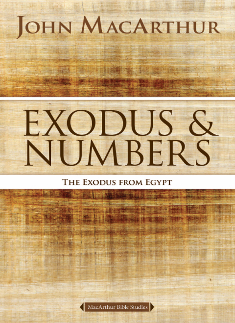 Cover image for book Exodus and Numbers