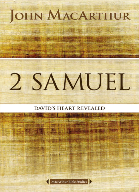 Cover image for book 2 Samuel