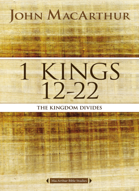 Cover image for book 1 Kings 12 to 22