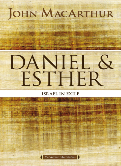 Cover image for book Daniel and Esther