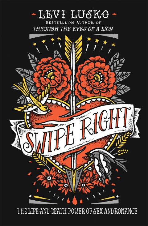 Cover image for book Swipe Right