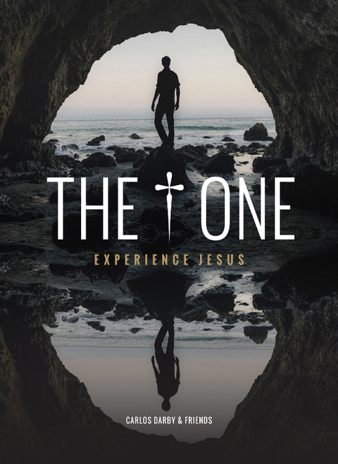 Cover image for book The One