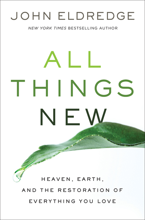 Cover image for book All Things New