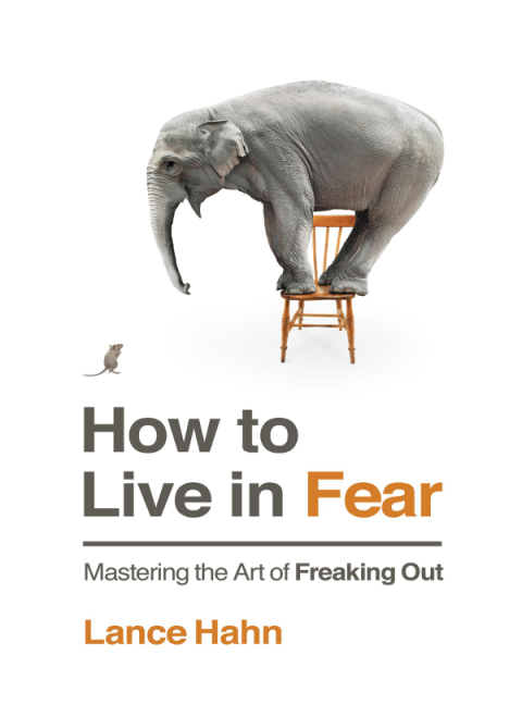 Cover image for book How to Live in Fear