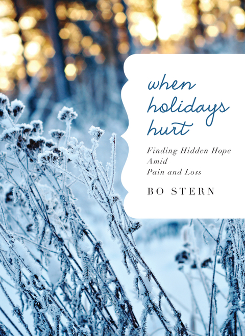 Cover image for book When Holidays Hurt