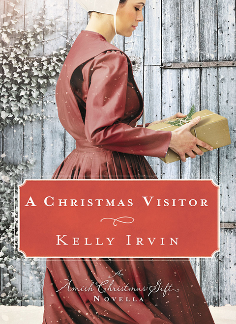 Cover image for book A Christmas Visitor