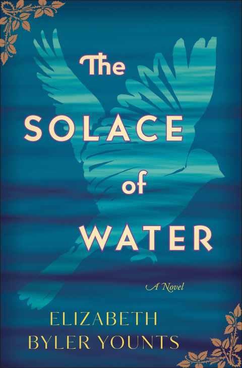 Cover image for book The Solace of Water