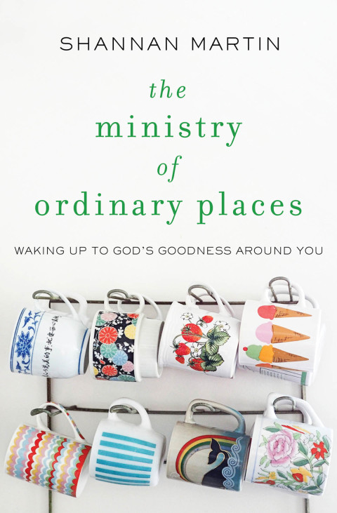 Cover image for book The Ministry of Ordinary Places