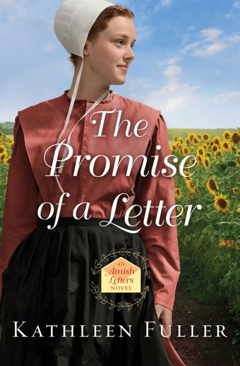 Cover image for book The Promise of a Letter
