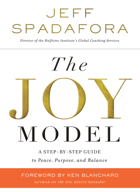Cover image for book The Joy Model