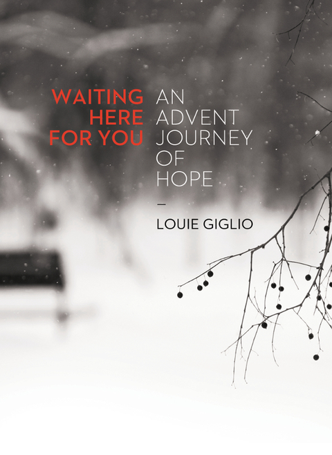 Cover image for book Waiting Here for You
