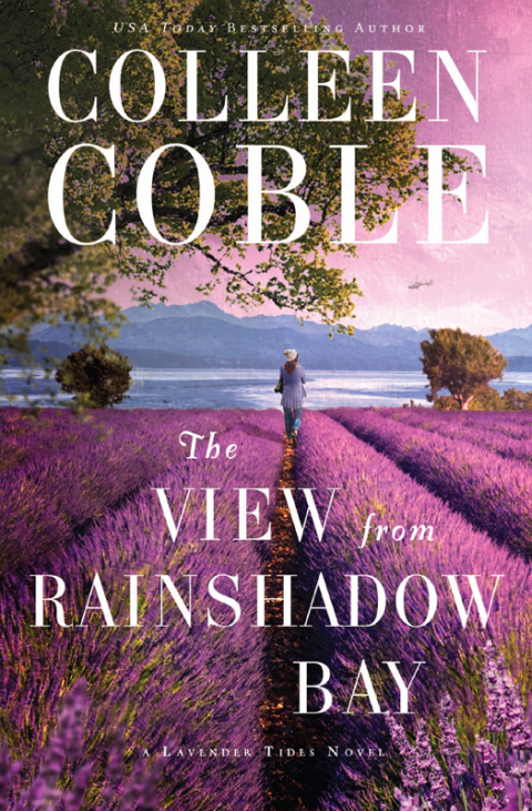 Cover image for book The View from Rainshadow Bay
