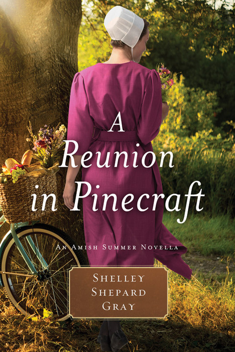 Cover image for book A Reunion in Pinecraft
