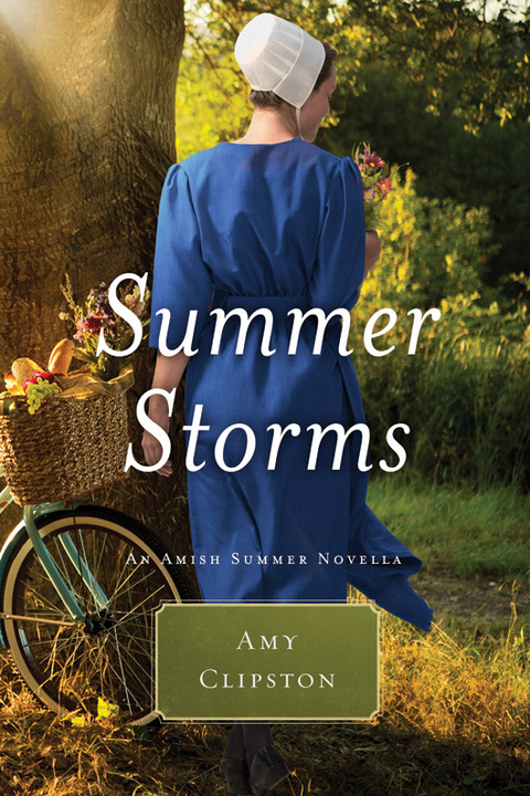 Cover image for book Summer Storms