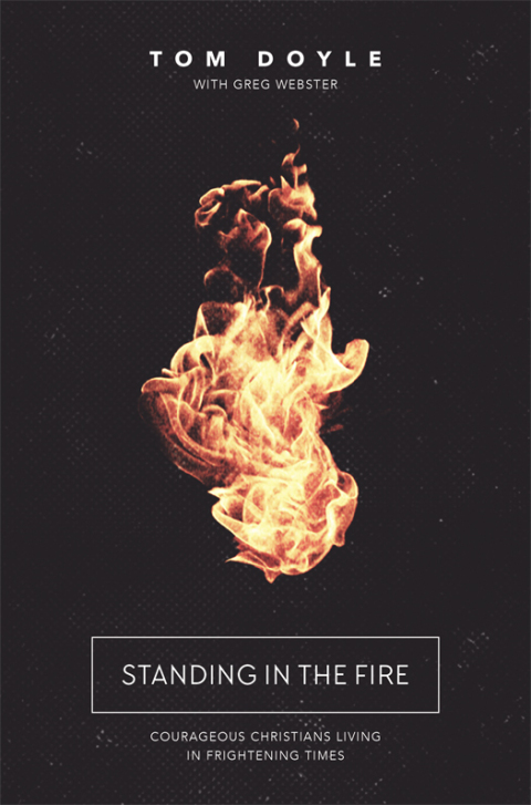 Cover image for book Standing in the Fire