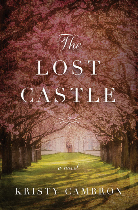 Cover image for book The Lost Castle