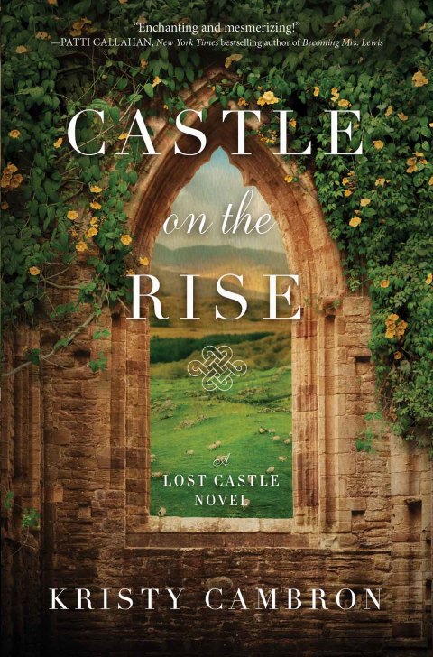 Cover image for book Castle on the Rise