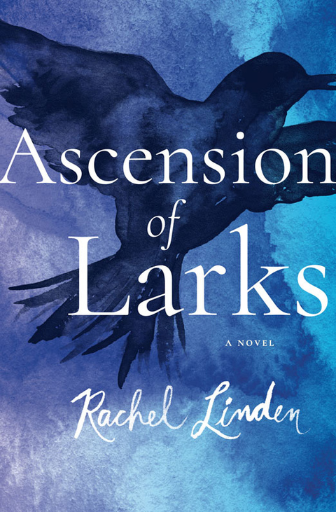 Cover image for book Ascension of Larks