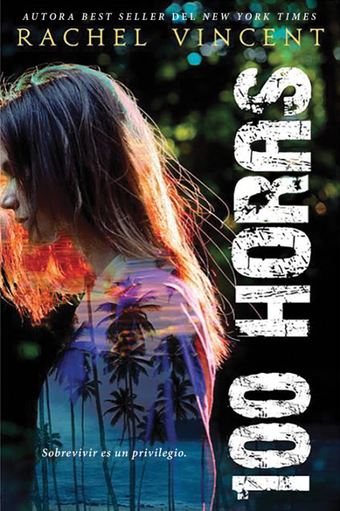 Cover image for book 100 Horas